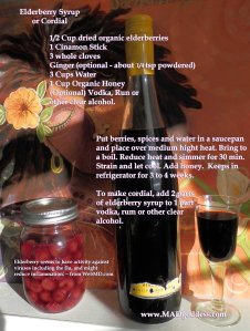 1504313_10152195703173556_2133439173_o